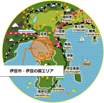 伊豆市・伊豆の国エリア